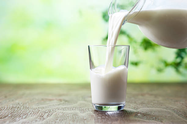 Milk & Dairy